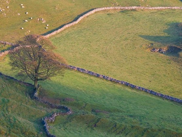 Thumbnail for Stone and Skill: Honouring the Heritage of Dry-Stone Walling