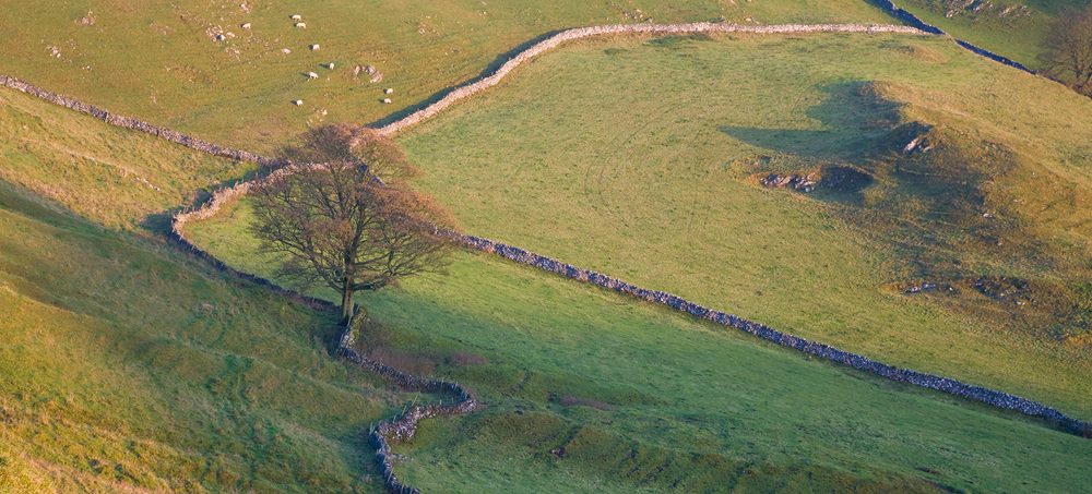 Thumbnail for Stone and Skill: Honouring the Heritage of Dry-Stone Walling